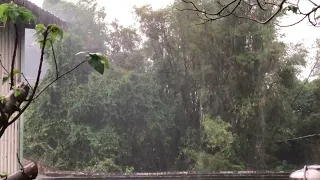 The sound of rain to sleep