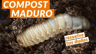 🍃 Compost básico: Usos del COMPOST MADURO | Curso de compostaje