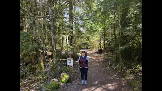 Skookum Flats Trail, Greenwater, WA 04/18/2024