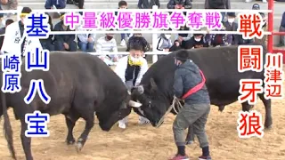 基山八宝vs戦闘牙狼