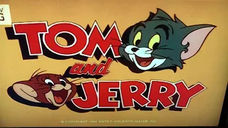 Pied Piper Puss (1980) Intro on Boomerang