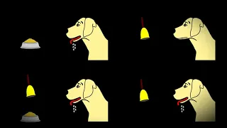 Ivan Pavlov’s Dog Experiment – What is Conditioned Reflex?
