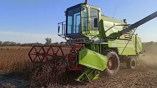 СОЯ 2021. Claas Mercator 70 на сої. Поломки комбайна та транспортування сої. Зберігання сої