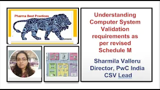 Understanding Computer System Validation requirements as per revised Schedule M