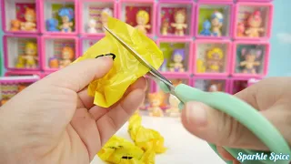 Unveiling the Surprises: Squishy Mashems and Princess Shopkins