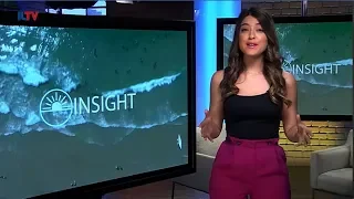 Insight to Israel with Natasha Kirtchuk - Feb. 3, 2019