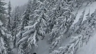 STEEP 7th Heaven Chair Stevens Pass Washington