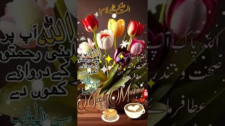 Allah Negheban.Jumma Mubarak.special appeal  Doua 🌎🌎🌎🌎for world peace.🤲🤲🤲🤲