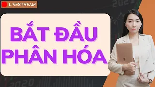 🔴 Thị trường bắt đầu phân hóa | Cổ BĐS nào khỏe nhất