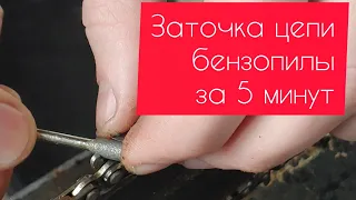 Заточка цепи бензопилы за 5 минут