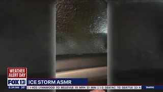 Seattle Ice Storm ASMR | FOX 13 Seattle