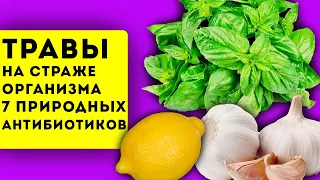 Простуда ушла за 1 день! Просто заварила чай с … и закусила хрустящим…