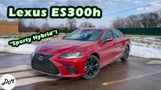 2022 Lexus ES300 Hybrid – DM Test Drive | Review