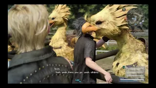 When Noctis got rejected by the Chocobos ^^""