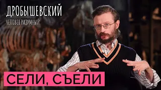 Как древние люди влияли на природу (и наоборот) // Дробышевский. Человек разумный