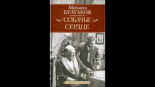 Буктрейлер М.А. Булгакова "Собачье сердце".  Библиотека филиал №12 Библиотека-филиал №12