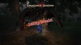Dragon's dogma I can't believe that this actually happened
