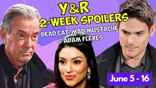 Young and the Restless Next 2-Week Spoilers: June 5th-16th, 2023 #yr