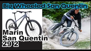 2024 Marin San Quentin 29 2 : Ultimate budget hardcore hardtail? Details and Review.