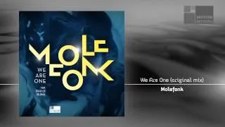 Molefonk featuring Tricia Lee Kelshall - We Are One (original mix)