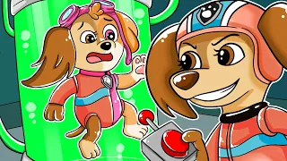 Paw Patrol The Movie | Liberty Becomes to Skye, What Really Happened?? | Rainbow 3