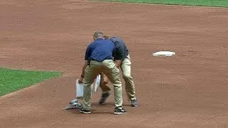 STL@MIL: Brewers' grounds crew secures pigeon