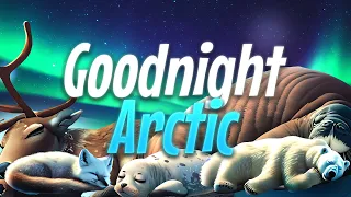 Goodnight Arctic ❄️⛄ The BEST Bedtime Story For Babies & Toddlers