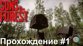 Sons of the Forest | Прохождение без комментариев #1