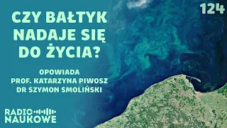 Życie w Bałtyku – co się kryje w morskiej toni? | prof. Katarzyna Piwosz, dr Szymon Smoliński