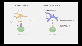 Part 9: Mechanism of Transplant Rejection and Types of Transplant Rejection