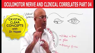 Oculomotor Nerve and Clinical Correlates Part 4