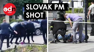 Video Shows Moment After Slovak PM is Shot and Wounded