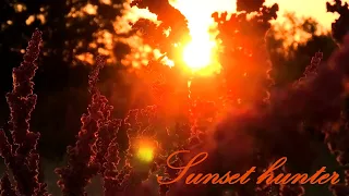 Beautiful sunset - 2024/63 (Sunset hunter)