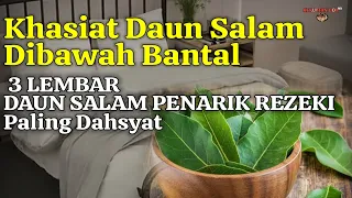 TARUH 3 LEMBAR DAUN INI DI BAWAH BANTAL KALAU BERANI!!! INILAH 6 KHASIAT DAUN SALAM DI BAWAH BANTAL