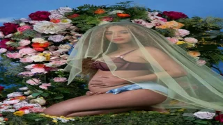 BEYONCÉ GRAVIDA DE  GÊMEOS BOMBA  NAS REDES SOCIAIS