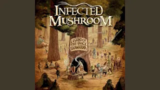 Riders on the Storm (Infected Mushroom Remix)