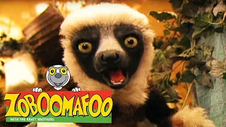 🐒 Zoboomafoo 🐒 111 | Fierce Creatures - Full Episode | Kids TV Shows