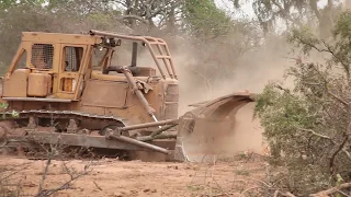 Desmontes en el Chaco salteño