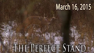 Midwest Whitetail | Locating the Perfect Stand for Deer Hunting