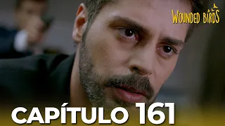 Omer Sueños Robados |  Capítulo 161