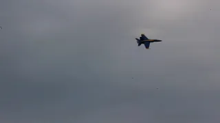 Freewing F-18 Blue Angel 20th Flight