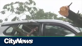 Typhoon Haikui makes landfall in Taiwan