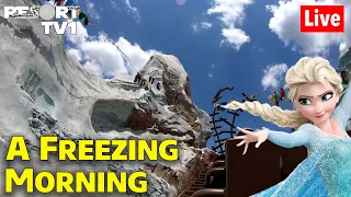 🔴Live: A Freezing Morning at Disney's Animal Kingdom - Walt Disney World Live Stream - 1-30-22