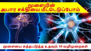 மூளையின்  அபார சக்தியை மீட்டெடுப்ேபாம் (மூளையை சுத்தபடுத்த உதவும் 10 வழிமுறைகள்)