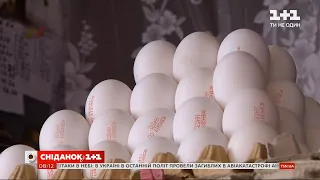 В Україні зростуть ціни на яйця та м’ясо птиці — Економічні новини