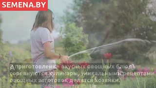 Где купить семена овощей в Беларуси по отличным ценам?