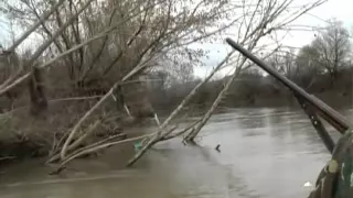 Vânătoare la raţe pe Mureş