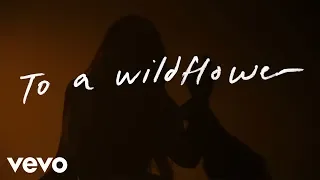 Tenille Townes - White Horse (Lyric Video)