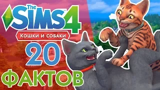 The Sims 4 Кошки и собаки - 20 Фактов!