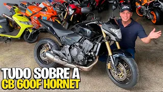 TUDO SOBRE A HONDA CB600F HORNET 2008-2014 *GUIA DE COMPRA COMPLETO*